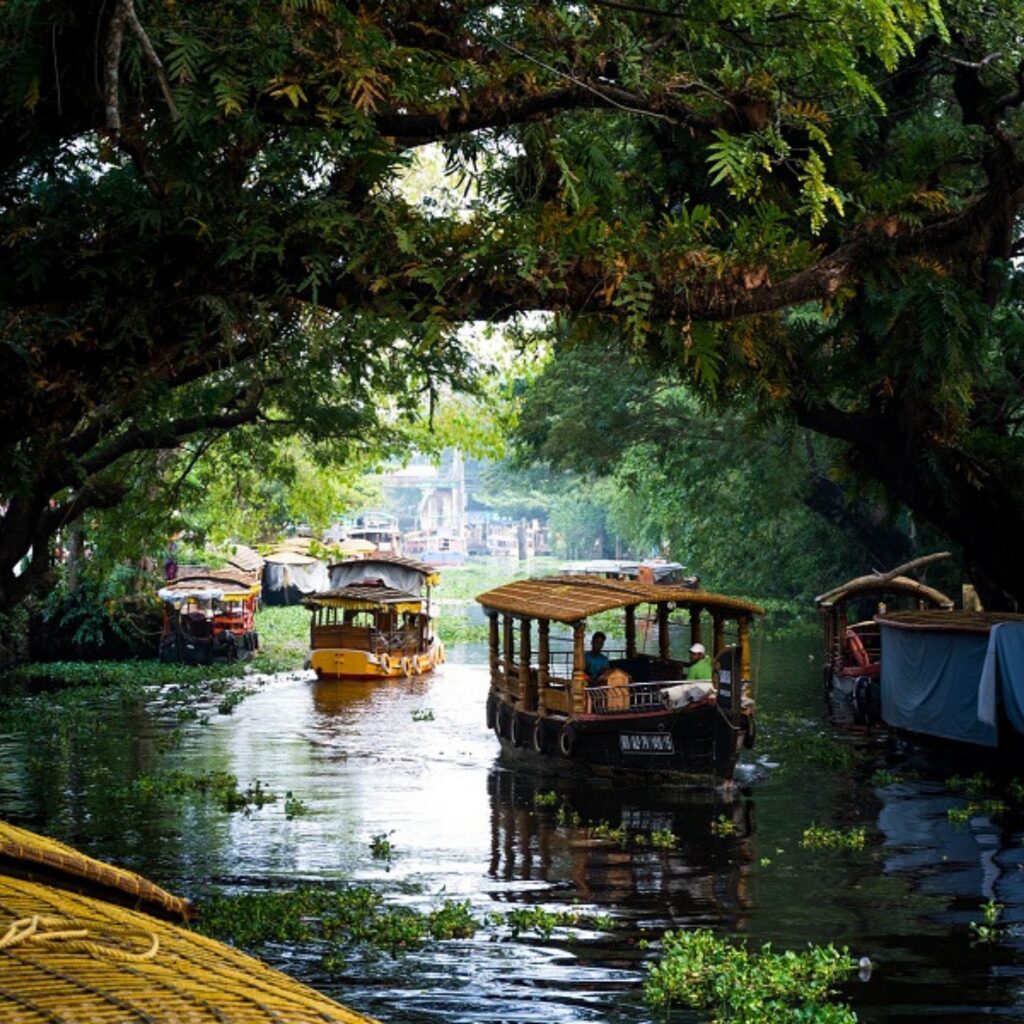 kerala packages